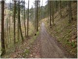 Podljubelj - Robič